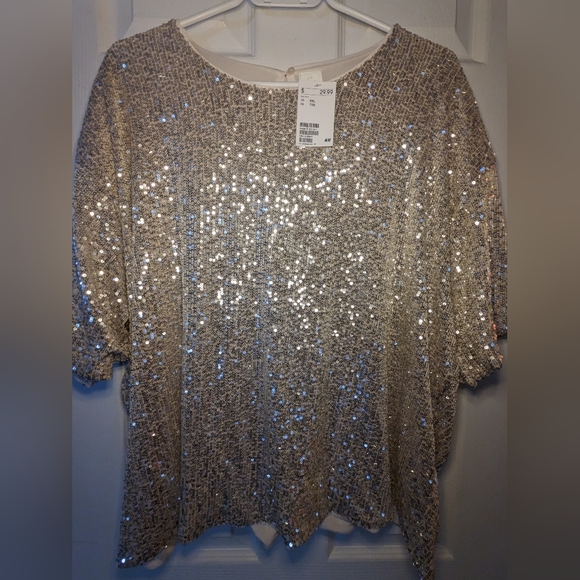 Sequin H&M blouse - Picture 1 of 2